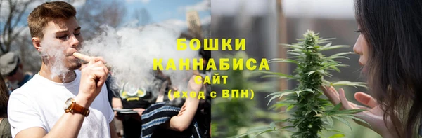 прущие грибы Пестово