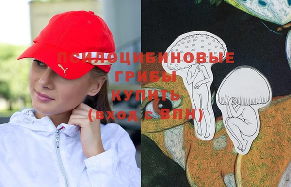 прущие грибы Пестово