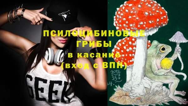 прущие грибы Пестово