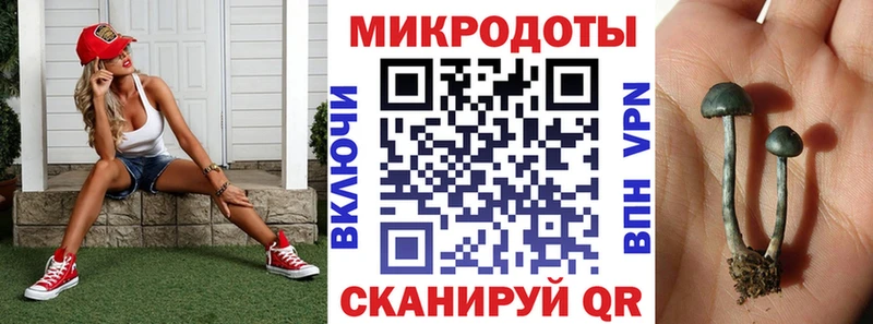 Галлюциногенные грибы Magic Shrooms  Купить  Ивангород 